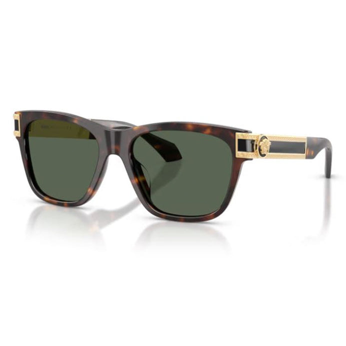 Versace VE4527U 108/71