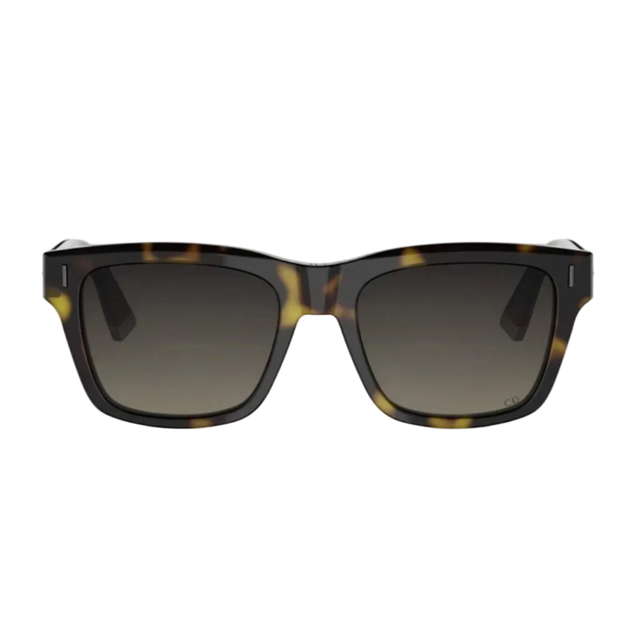 DIOR TAILORING S1I 20A1